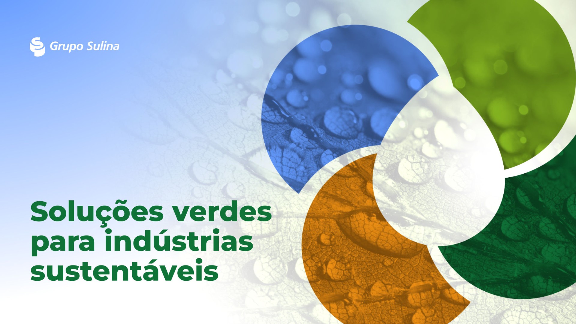 Banner Sulina BioProdutos - Soluções verdes para indústrias sustentáveis
